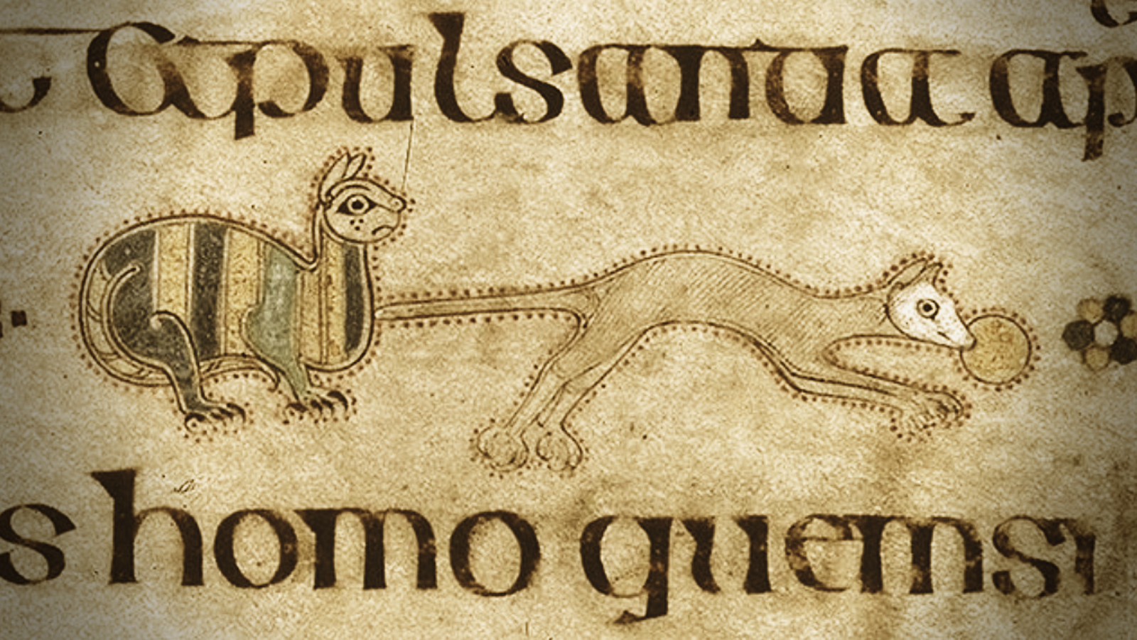 Detail from folio 48r of the Book of Kells: a stripy cat and a long, pale animal with a round golden object in its mouth, drawn between lines of old script; warm sepia tones